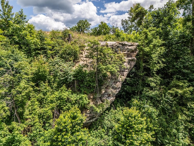 1.93AC Glenobey Rd, Jamestown, TN 38556 - photo 10