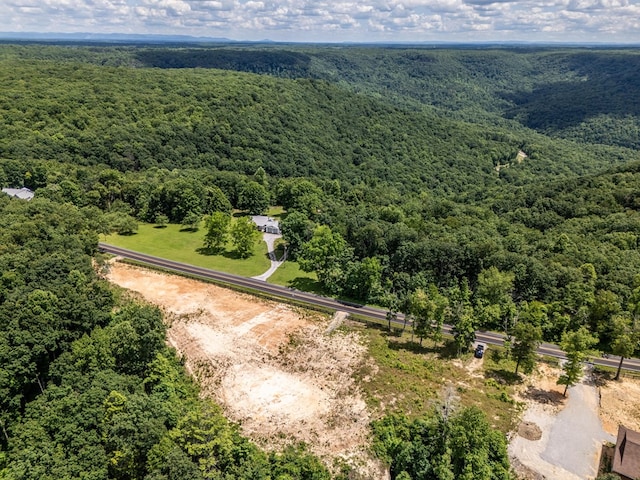 1.93AC Glenobey Rd, Jamestown, TN 38556 - photo 15