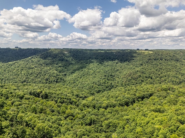 1.93AC Glenobey Rd, Jamestown, TN 38556 - photo 12