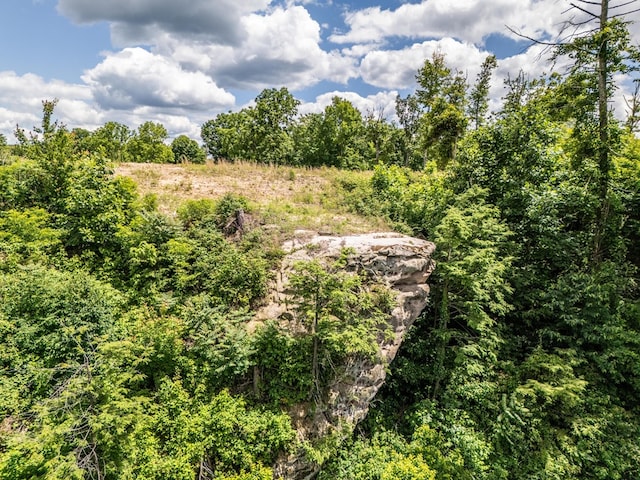 1.93AC Glenobey Rd, Jamestown, TN 38556 - photo 11