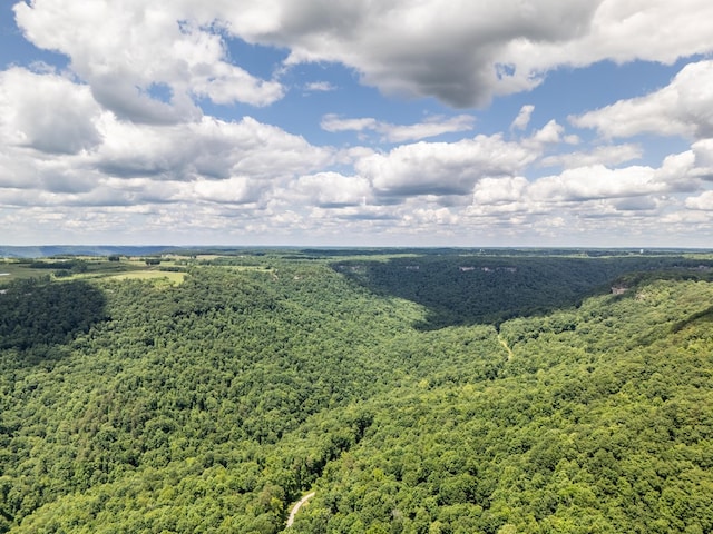 1.93AC Glenobey Rd, Jamestown, TN 38556 - photo 14