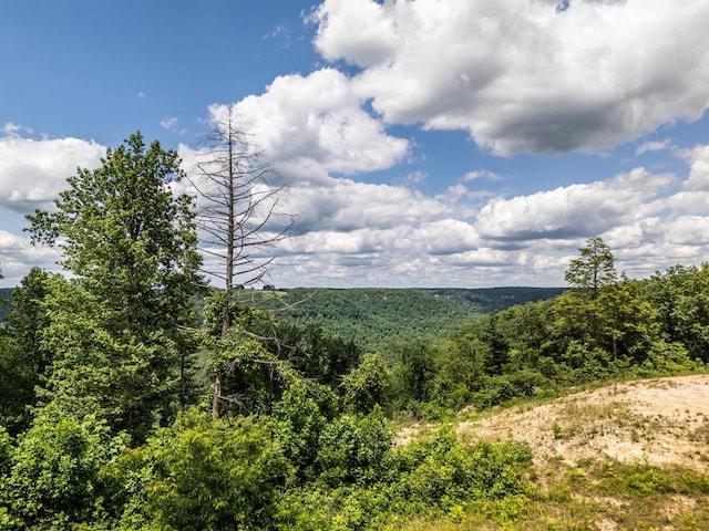 1.93AC Glenobey Rd, Jamestown, TN 38556 - photo 1