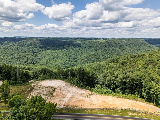 1.93AC Glenobey Rd, Jamestown, TN 38556 - photo 7