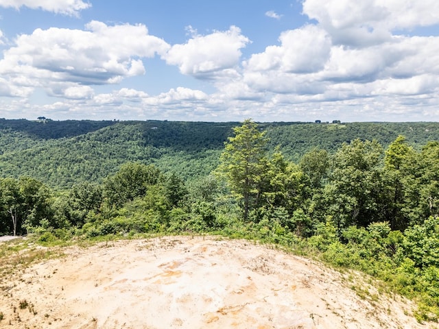 1.93AC Glenobey Rd, Jamestown, TN 38556 - photo 8