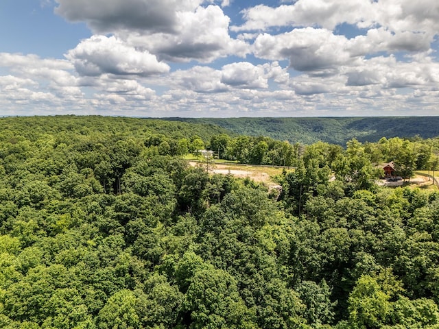 1.93AC Glenobey Rd, Jamestown, TN 38556 - photo 13