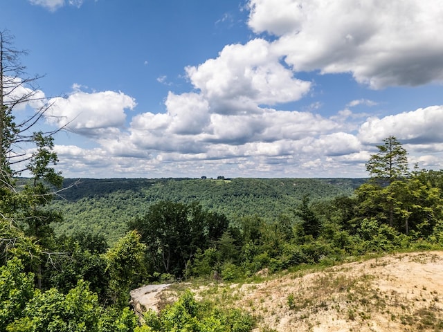 1.93AC Glenobey Rd, Jamestown, TN 38556 - photo 3