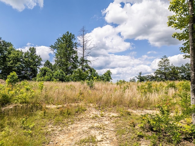 1.93AC Glenobey Rd, Jamestown, TN 38556 - photo 2
