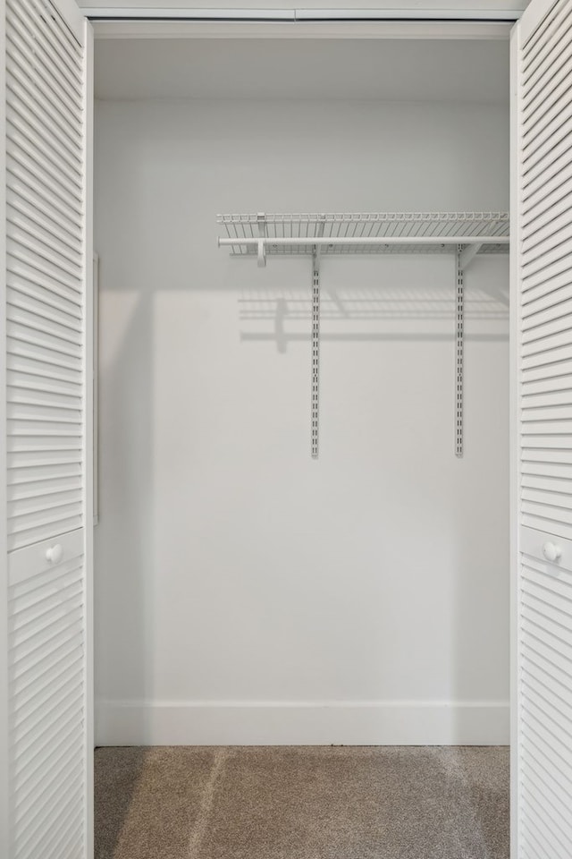 1069 Pleasant Shade Hwy, Pleasant Shade, TN 37145 - view of closet