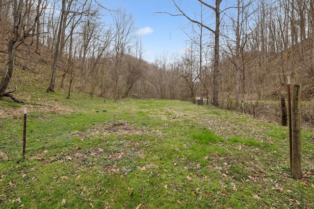 1069 Pleasant Shade Hwy, Pleasant Shade, TN 37145 - view of yard featuring a wooded view