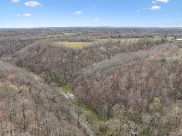 1069 Pleasant Shade Hwy, Pleasant Shade, TN 37145 - aerial view of property's location with a forest