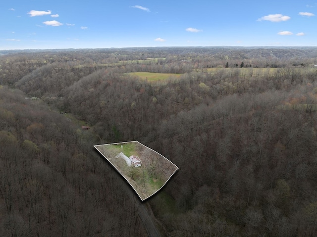 1069 Pleasant Shade Hwy, Pleasant Shade, TN 37145 - aerial overview of property's location featuring a heavily wooded area and property boundaries highlighted