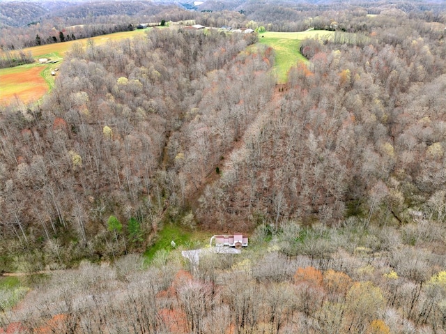 1069 Pleasant Shade Hwy, Pleasant Shade, TN 37145 - aerial overview of property's location with a heavily wooded area
