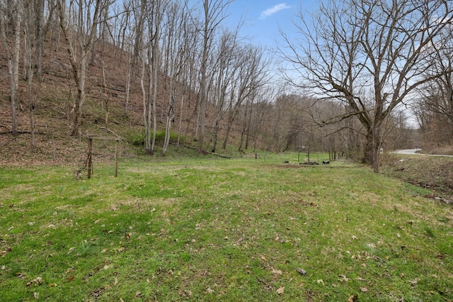 1069 Pleasant Shade Hwy, Pleasant Shade, TN 37145 - view of green lawn featuring a view of trees