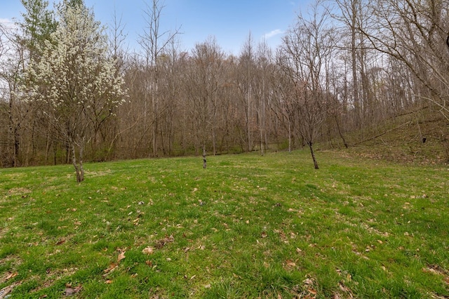 1069 Pleasant Shade Hwy, Pleasant Shade, TN 37145 - view of green lawn featuring a view of trees