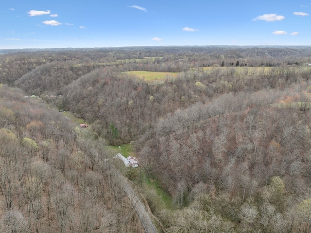 1069 Pleasant Shade Hwy, Pleasant Shade, TN 37145 - view of property location with a heavily wooded area