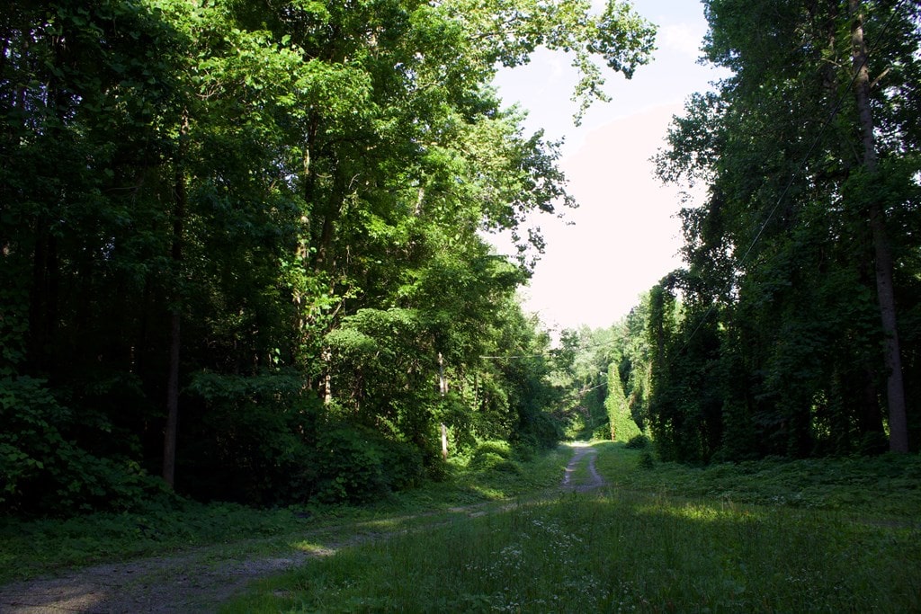 225 Holder Ave, Cookeville, TN 38501 - photo 3