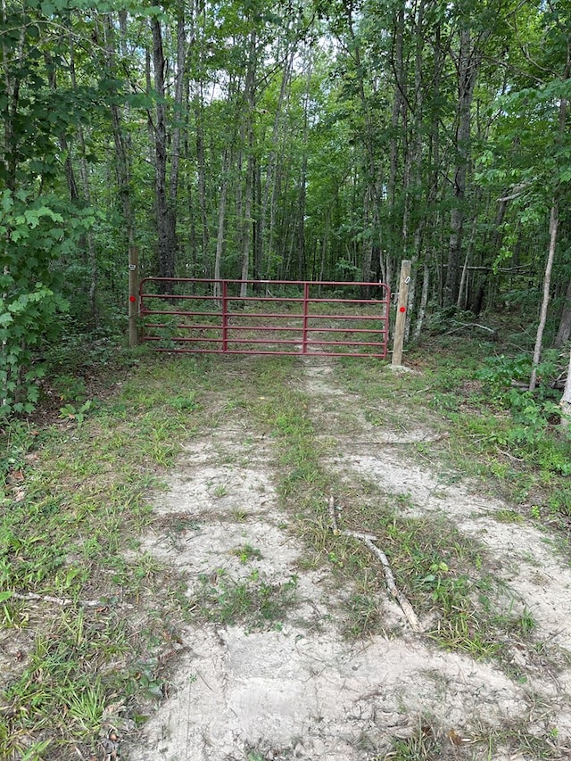 911 Parkstown Rd, Wilder, TN 38589 - photo 15