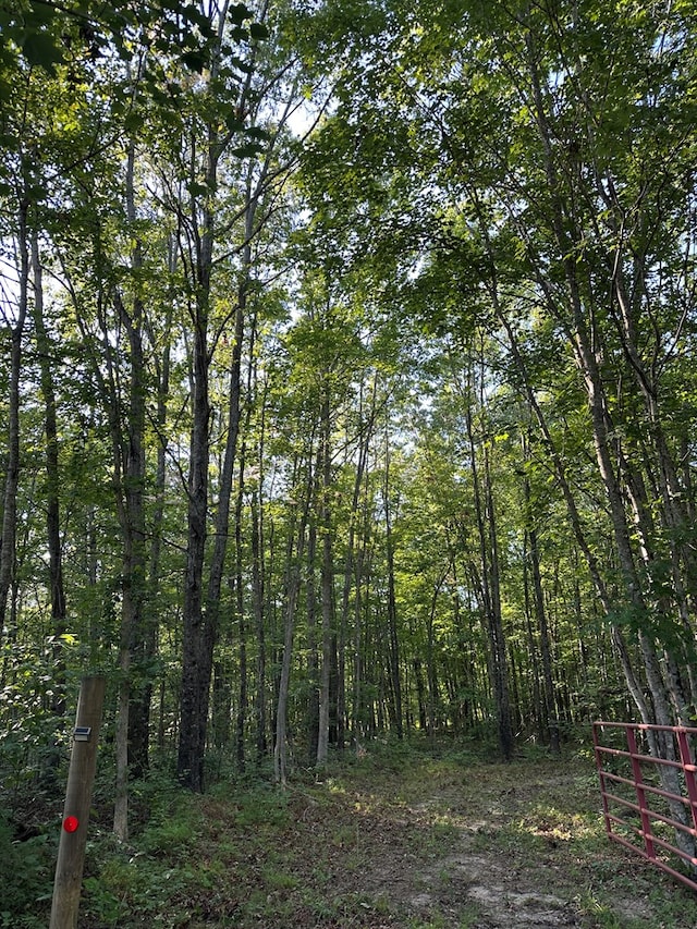 911 Parkstown Rd, Wilder, TN 38589 - photo 16