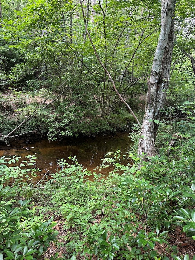 911 Parkstown Rd, Wilder, TN 38589 - photo 24