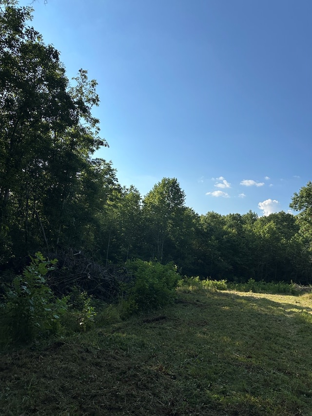 911 Parkstown Rd, Wilder, TN 38589 - photo 7