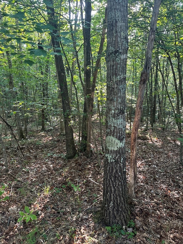 911 Parkstown Rd, Wilder, TN 38589 - photo 9