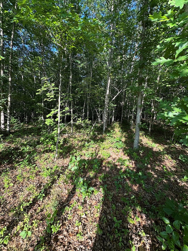 911 Parkstown Rd, Wilder, TN 38589 - photo 4
