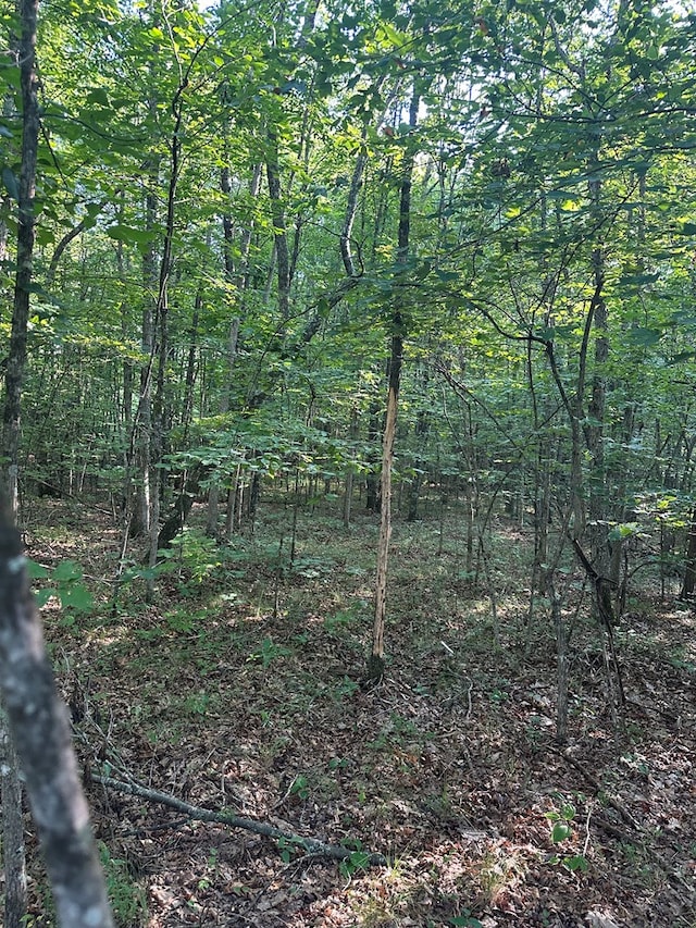 911 Parkstown Rd, Wilder, TN 38589 - photo 8