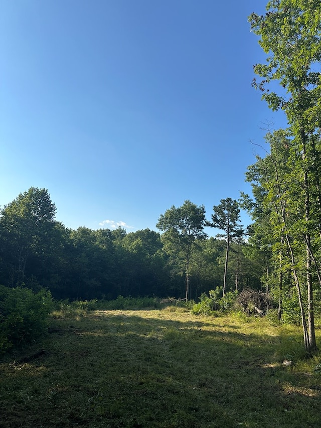 911 Parkstown Rd, Wilder, TN 38589 - photo 11