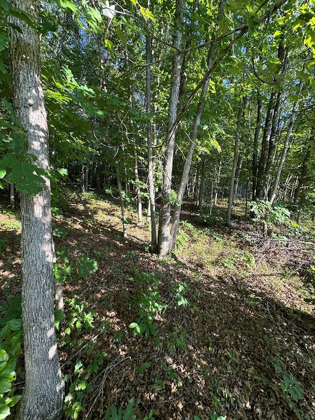 911 Parkstown Rd, Wilder, TN 38589 - photo 3
