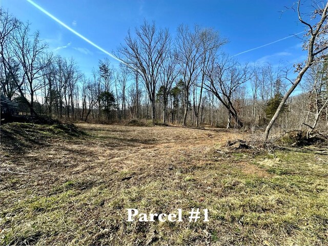 Listing photo 2 for 0 Old Mill Rd, Baxter TN 38544