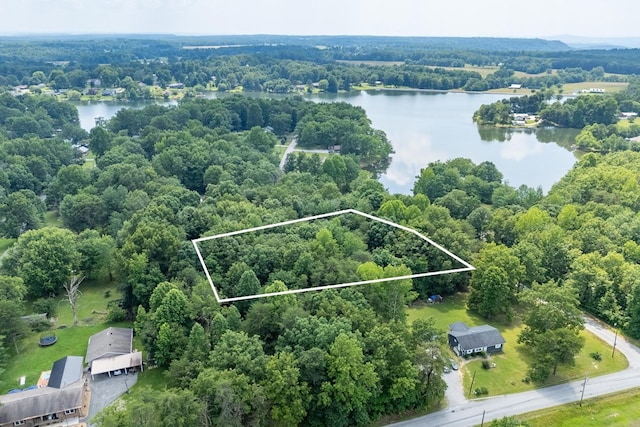 1.93AC Ash Bury Dr, Sparta, TN 38583 - photo 2