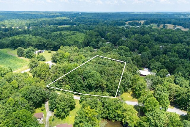 1.93AC Ash Bury Dr, Sparta, TN 38583 - photo 4