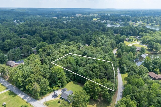 1.93AC Ash Bury Dr, Sparta, TN 38583 - photo 3