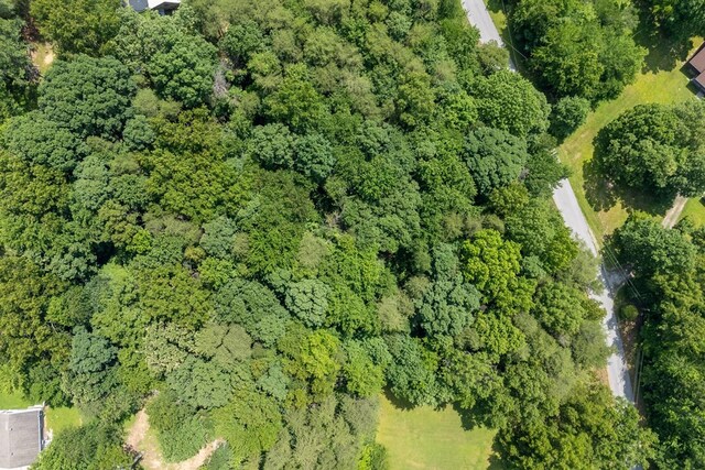 1.93AC Ash Bury Dr, Sparta, TN 38583 - photo 12
