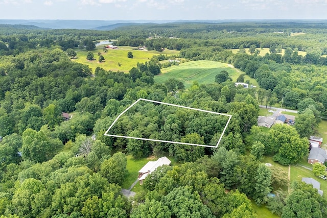 1.93AC Ash Bury Dr, Sparta, TN 38583 - photo 5