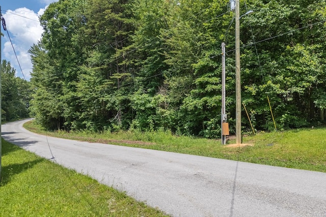 1.93AC Ash Bury Dr, Sparta, TN 38583 - photo 7