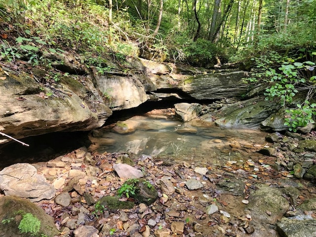 8111 White Oak Flatt Rd, Sparta, TN 38583