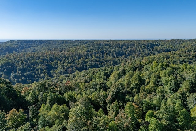 8111 White Oak Flatt Rd, Sparta, TN 38583