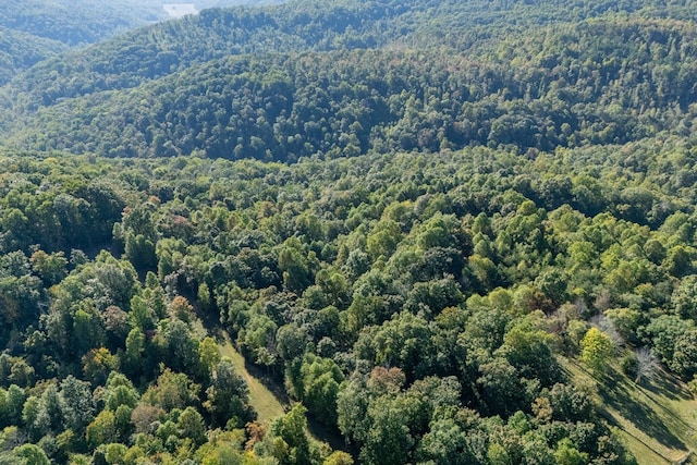 8111 White Oak Flatt Rd, Sparta, TN 38583