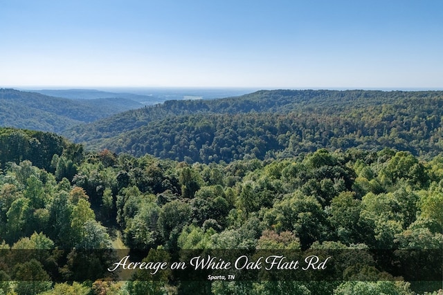 8111 White Oak Flatt Rd, Sparta, TN 38583