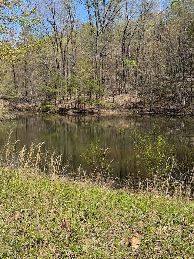 8111 White Oak Flatt Rd, Sparta, TN 38583