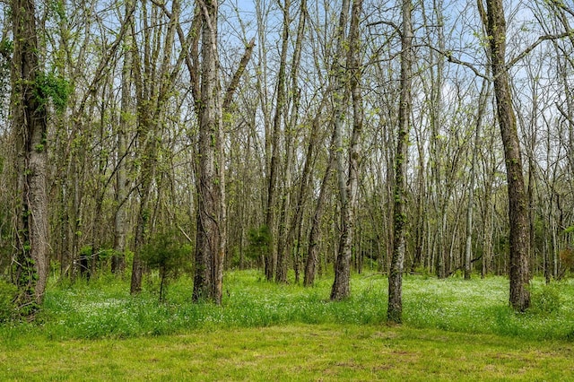 134 Opossum Hollow Rd, Watertown, TN 37184 - photo 9