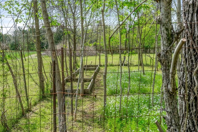 134 Opossum Hollow Rd, Watertown, TN 37184 - photo 16