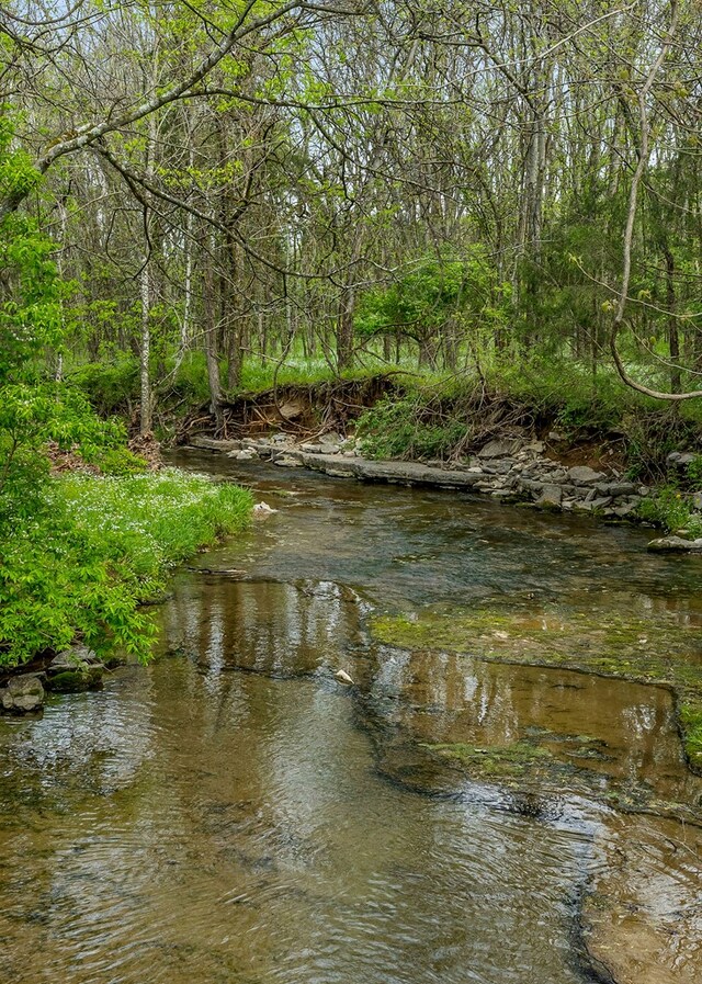134 Opossum Hollow Rd, Watertown, TN 37184 - photo 11