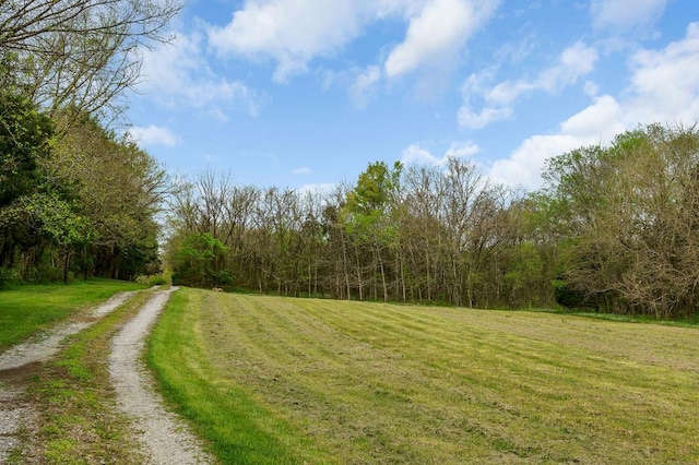 134 Opossum Hollow Rd, Watertown, TN 37184 - photo 25