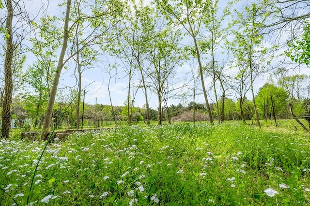 134 Opossum Hollow Rd, Watertown, TN 37184 - photo 17