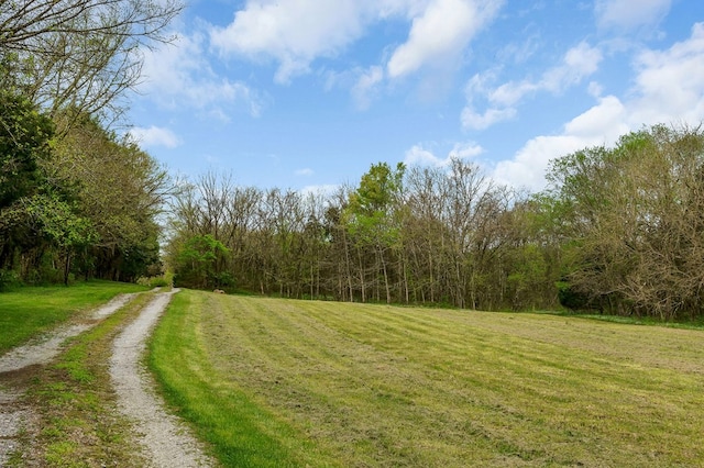 134 Opossum Hollow Rd, Watertown, TN 37184 - photo 10