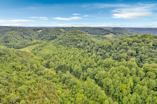 0 Hurrican Branch Rd, Gainesboro, TN 38562
