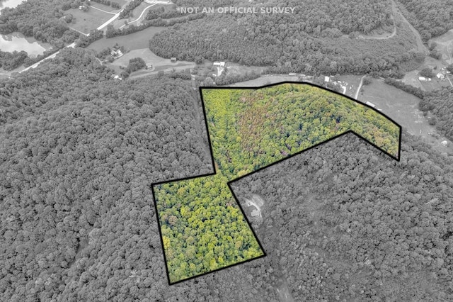 0 Hurrican Branch Rd, Gainesboro, TN 38562