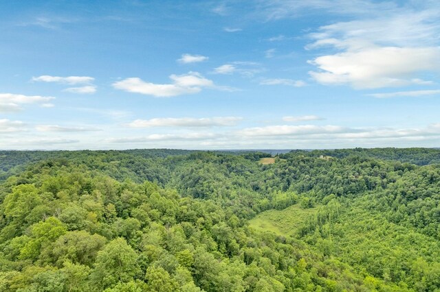 0 Hurrican Branch Rd, Gainesboro, TN 38562